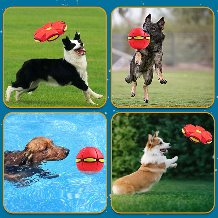 Pet Toy Flying Saucer Ball